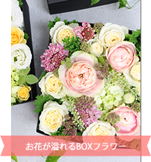 フラワーBOX・シュクラン【ピンク系おまかせ】