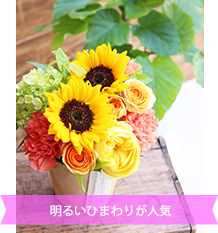 シャインオレンジ