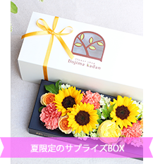 FuruRe:（フルリ）ひまわり