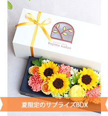 FuruRe:（フルリ）ひまわり