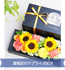 FuruRe:（フルリ）ひまわり