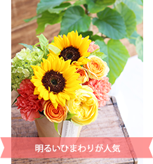 シャインオレンジ