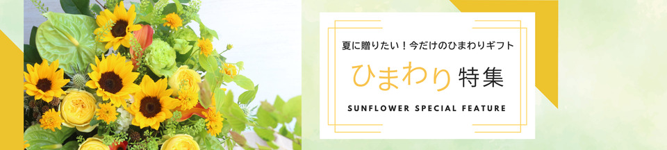 ひまわり特集