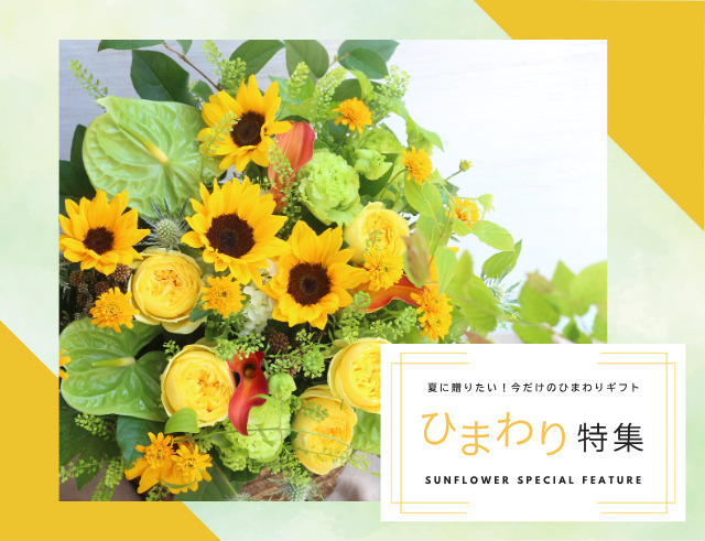 ひまわり特集