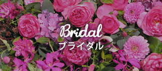 Bridal ブライダル