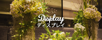 Display ディスプレイ