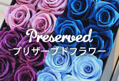 Preserved プリザーブドフラワー