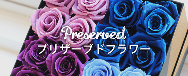 Preserved プリザーブドフラワー