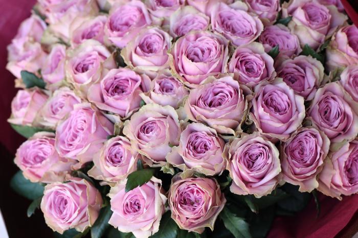 大阪で想いを形にする花屋なら堂島花壇 大阪で想いを形にする花屋なら堂島花壇
