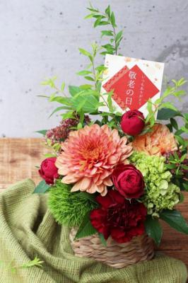 【敬老の日・9/12～15お届け限定】いろは