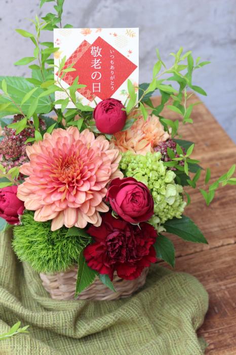 【敬老の日・9/12～15お届け限定】いろは