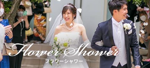 フラワーシャワー Flower Shower