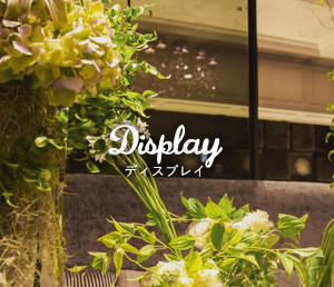 Display ディスプレイ