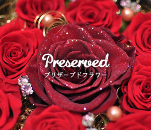 Preserved プリザーブドフラワー