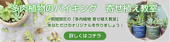 寄せ植え教室バナー