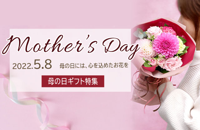 特集 母の日22 大阪の花屋は堂島花壇