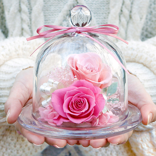 ガラスドーム-フィオーレ-(ピンク)