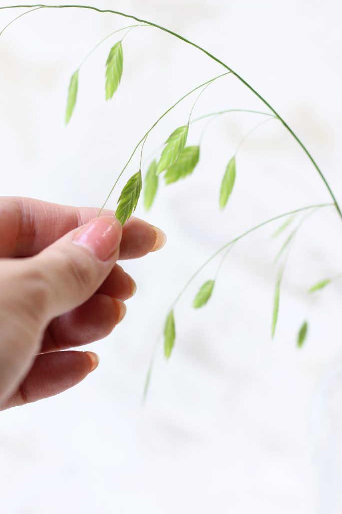 光に透けて美しいグリーンスケール（小判草）の花穂