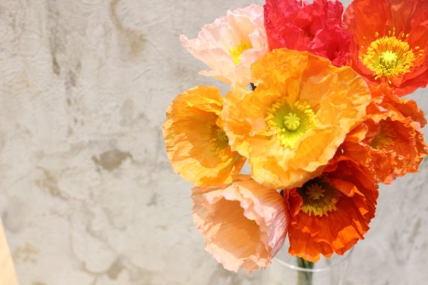 今が旬 春のお花 ポピー 大阪の花屋なら堂島花壇