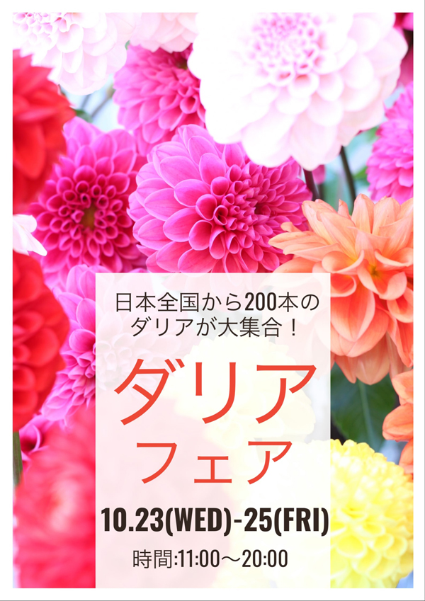 日本全国から0本のダリアが大集合 ダリアフェア 大阪の花屋なら堂島花壇